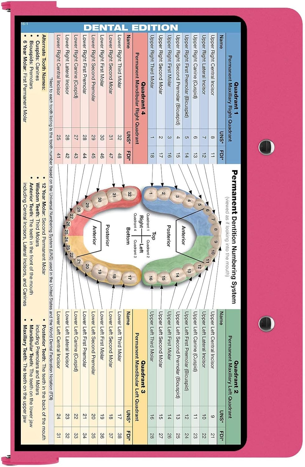 Whitecoat Clipboard® - Dental Edition (Pink, Bifold)