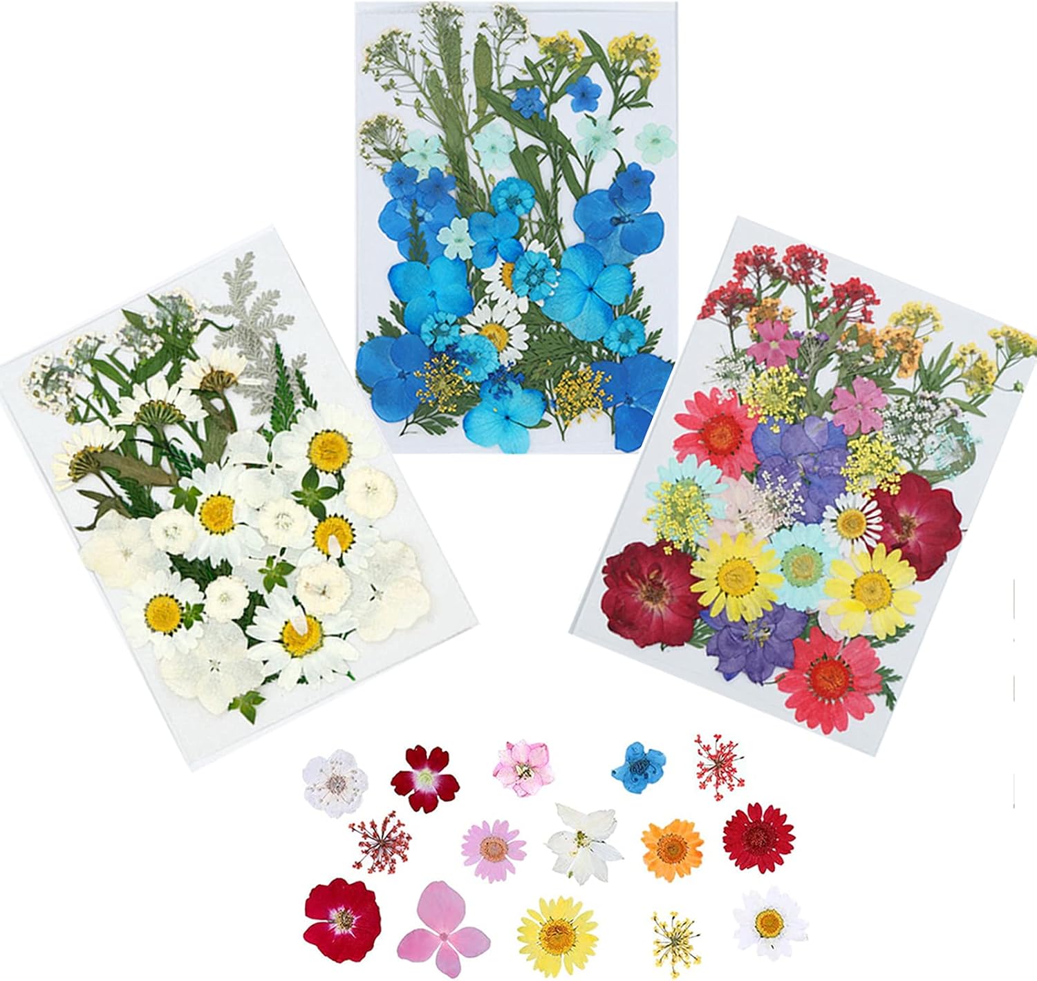 Dried Flowers Pressed for epoxy Resin (White/Blue