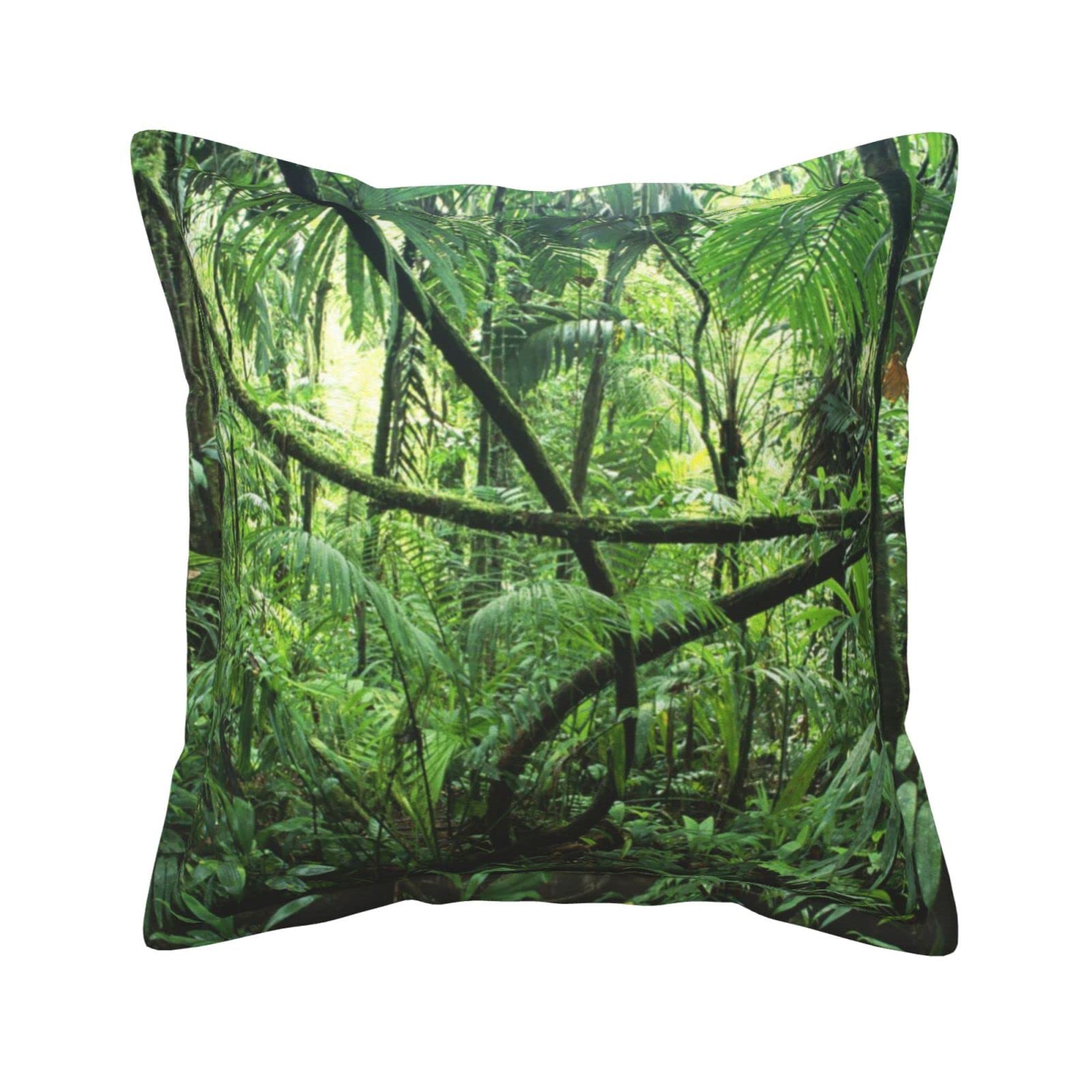 Housses de coussin carrées en similicuir pour raviver un salon terne avec élégance