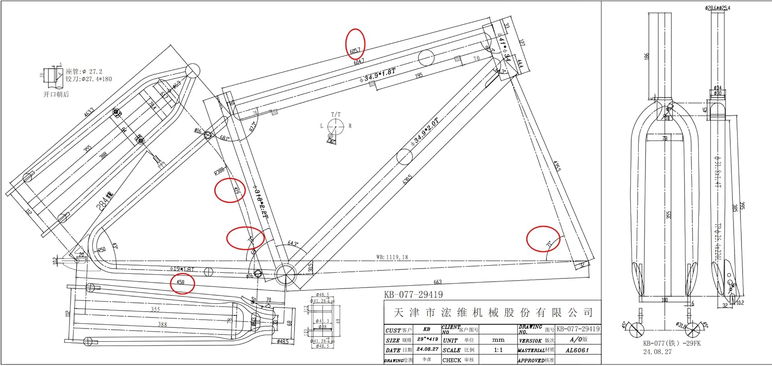 R4 Retro 6061 Aluminum 29" Pro BMX Frame & Chrome Fork Raw with Clear Coat looptail Design