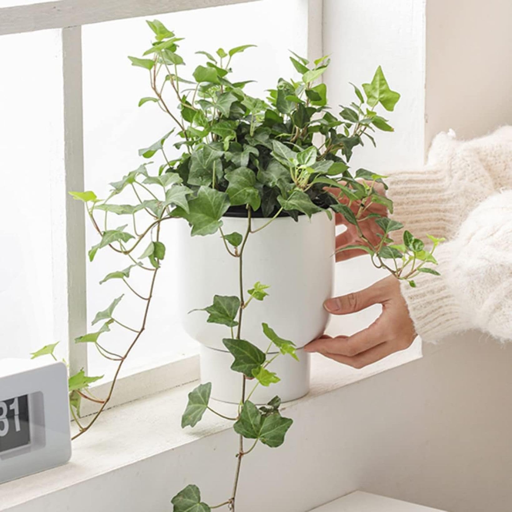 Amazon.co.jp: プランター 植木鉢 陶器製 陶器鉢 高足植木鉢 おしゃれ