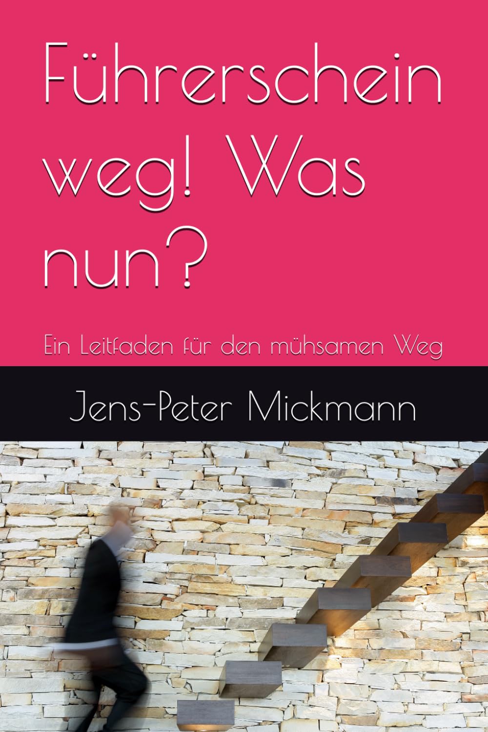 Führerschein weg! Was nun?: Ein Leitfaden für den mühsamen Weg