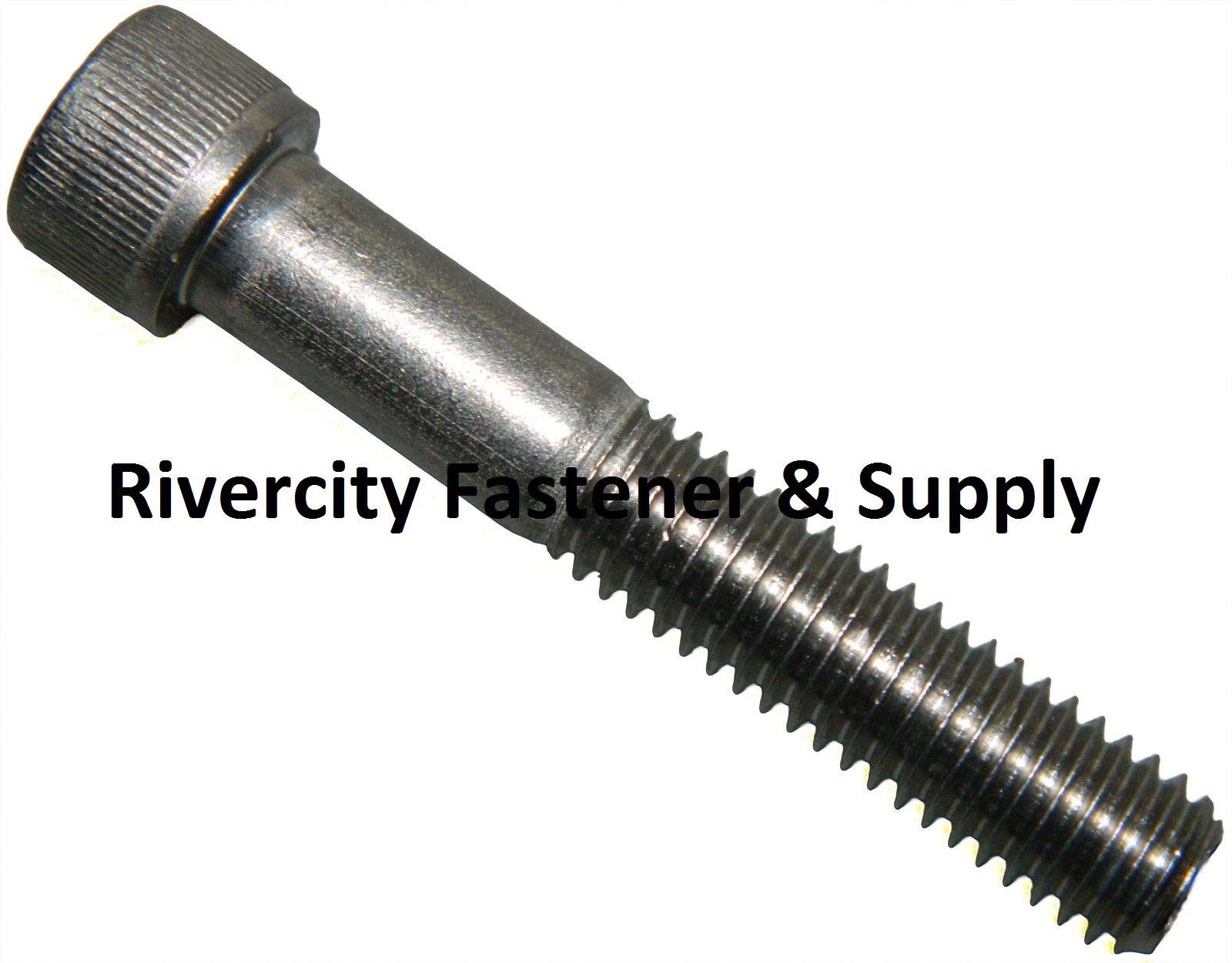 Socket Stud Post Dentistry Stainless Steel Post Screw Post Endodontic Posts 5 Pack M6-1 ...