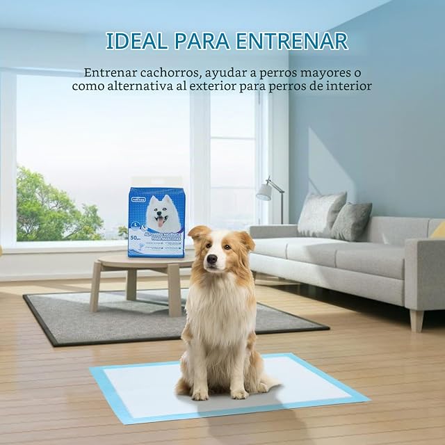 Foto 6 de 8 de Nobleza - 50 x Empapadores Perros Alfombrilla higiénica de Entrenamiento para Perros. Ultraabsorbente…