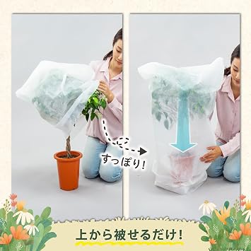 Astro Non-Woven Cover White Insect-Proof Frost-Proof Cold-Proof Gardening Home Garden Cultivation Flowerbed Planter 520-36
