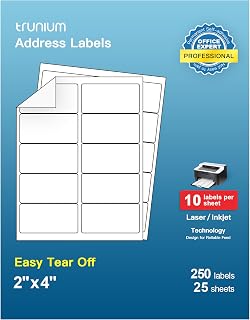 Shipping Address Labels, 2" x 4" Address Labels for Laser & Inkjet Printers, Mailing Labels for 5163, 8163, 5263, Strong Adhesive for FBA Label, Easy to Peel (25 Sheets, 250 Labels)