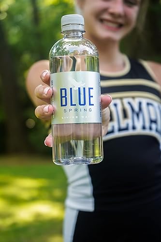 Miniatura 10 de Blue Spring Living Water, Agua de manantial natural Pure Premium, pH equilibrado de 7.1-7.2, agua de manantial embotellada, 16.9 onzas líquidas