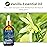BURIBURI 100ML Vanilla Essential Oil, 100% Pure Undiluted Aromatherapy Vanilla Oil 3.38fl.oz for Soap, Candle Making, Massage, Diffuser, Humidifier