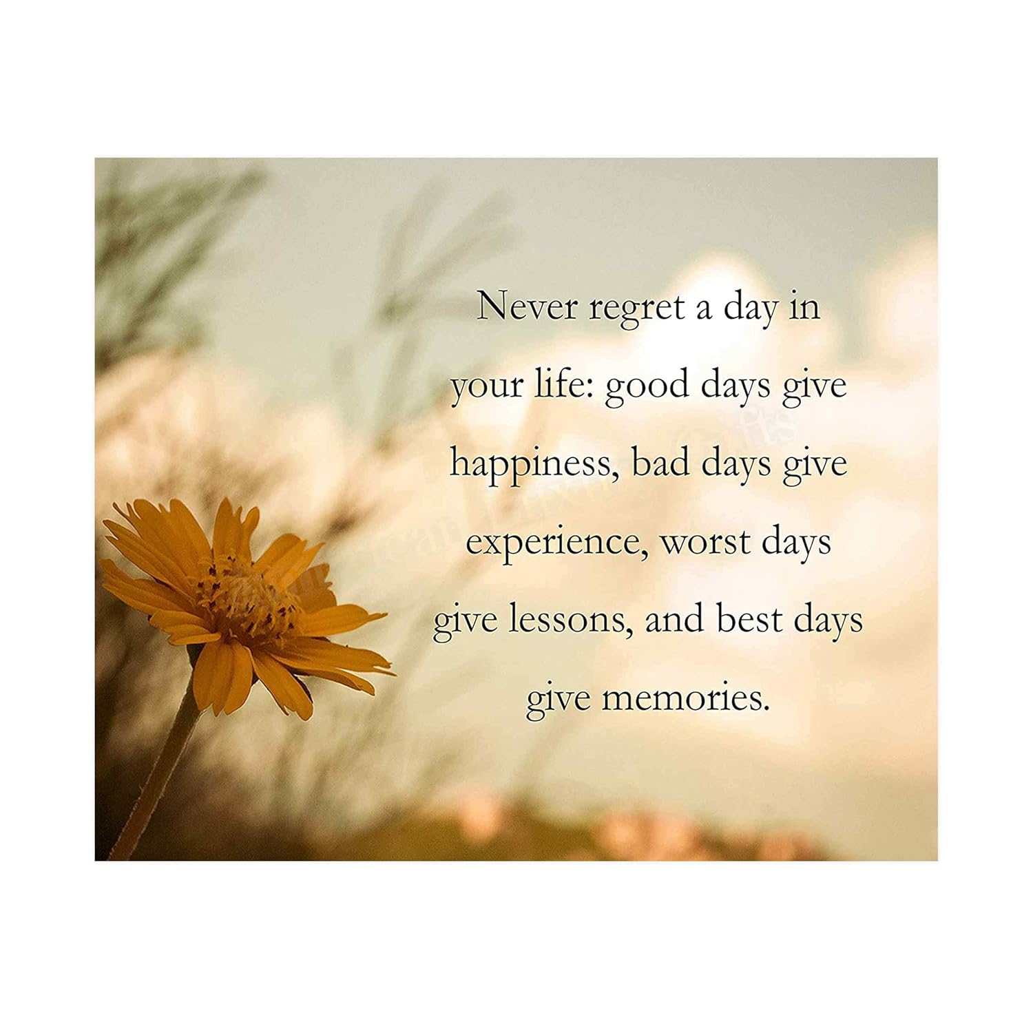 Never Regret A Day In Your Life Quote Amazon.com: "Never Regret A Day In Your Life" Inspirational Quotes Wall Art  -10 X 8" Floral Typographic Photo Print-Ready To Frame. Positive Quotes For  Home-Office-Studio-School Decor. Great Gift & Reminder! : Handmade