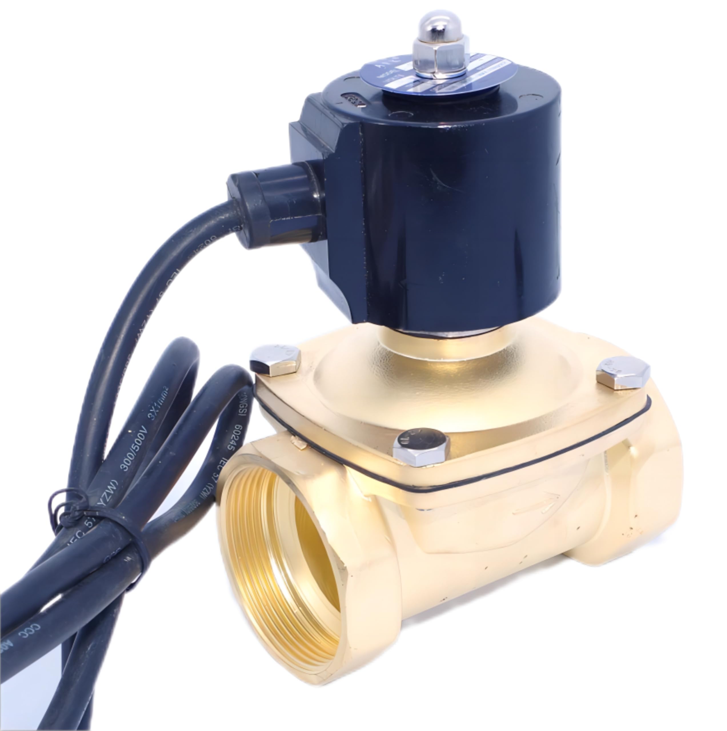 Électrovanne en laiton 1/2 pouce pour l'arrosage automatique du jardin 220V