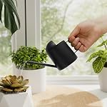 Bamworld Petits pots d'arrosage intérieur / extérieur Plante en métal noir Acier inoxydable Long Spoutt Fleurs Arrosage Can pour maison Jardin Plantes 10OZ Bouteille d'arrosage mignon décoratif pour Bonsai