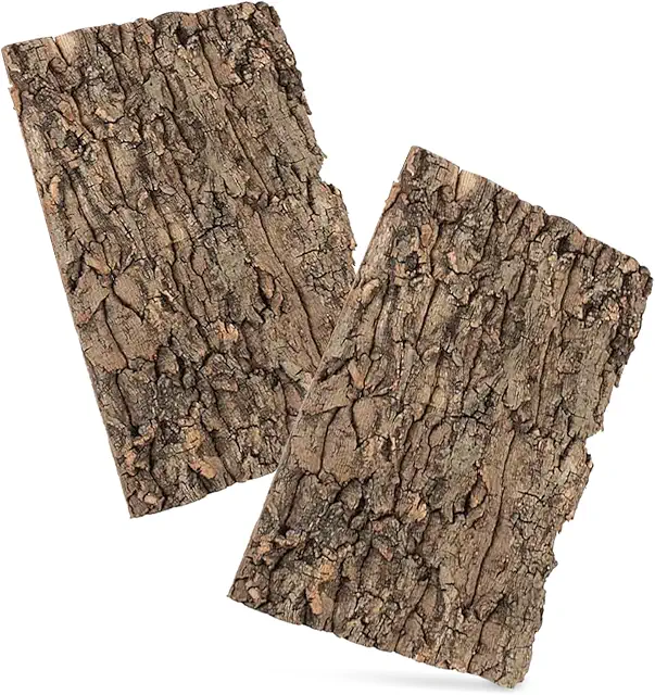 UOSIWYA 2er-Set Korkrinde Terrarium-Rückwand 30x20cm für Reptilien & Vögel