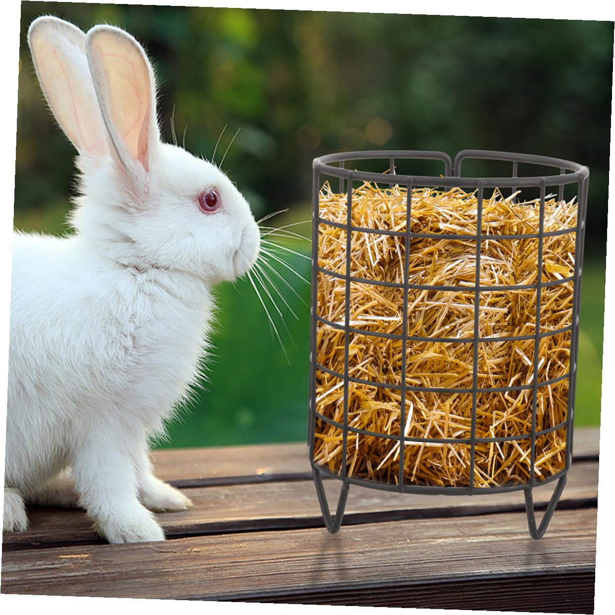 SHINEOFI Mangeoire à Foin Lot de 2 Pièces pour Lapins et Chinchillas pour Garder la Nourriture Propre en Fer Noir Résistante à l'usure, Minimise Le Gaspillage