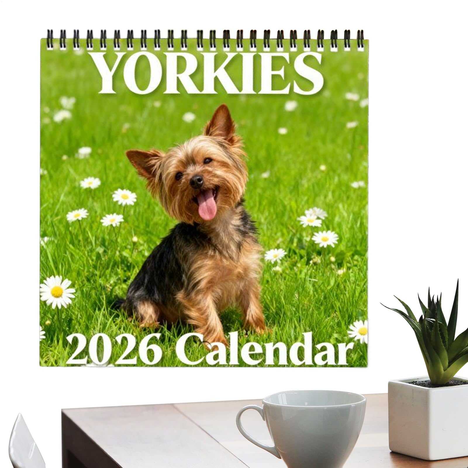 Funny 2026 Wall Calendar 12 Monthly Organizing Planner
