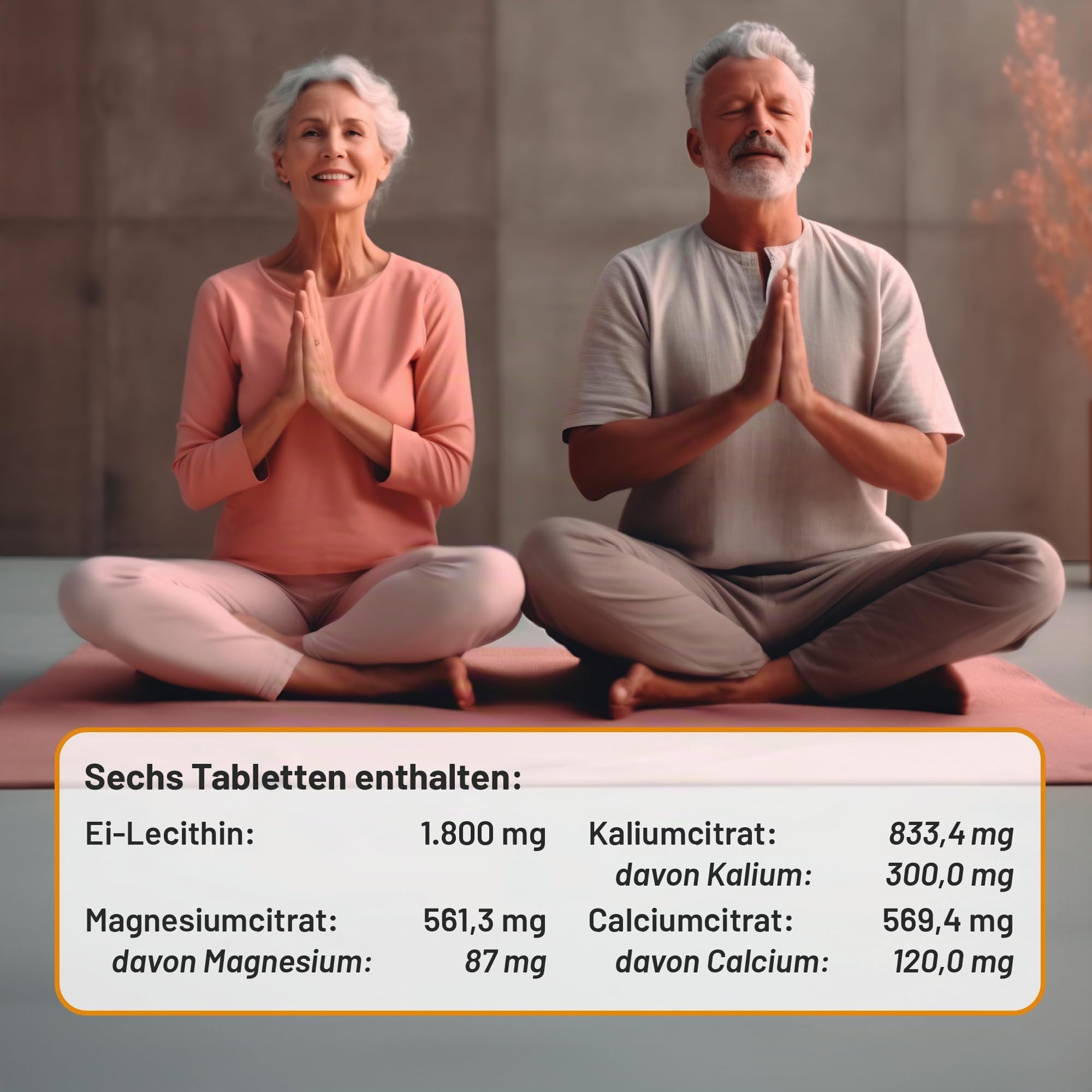 NE Tabletten – Elektrolyte & Ei-Lecithin zur Unterstützung von Nerven, Muskeln & Energiestoffwechsel – mit Magnesium, Kalium, Calcium in Citratform – gentechnikfrei & vegetarisch, 200 St