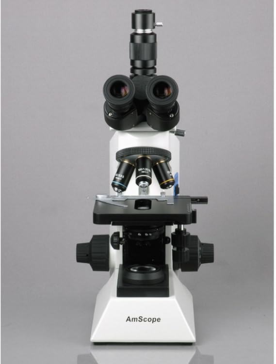 AmScope T580B 40X-2000X Professional Research Biological Compound Microscope