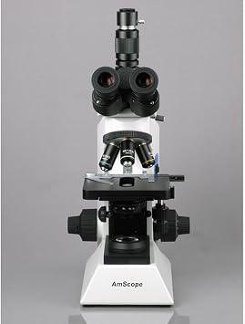 AmScope T580B 40X-2000X Professional Research Biological Compound Microscope