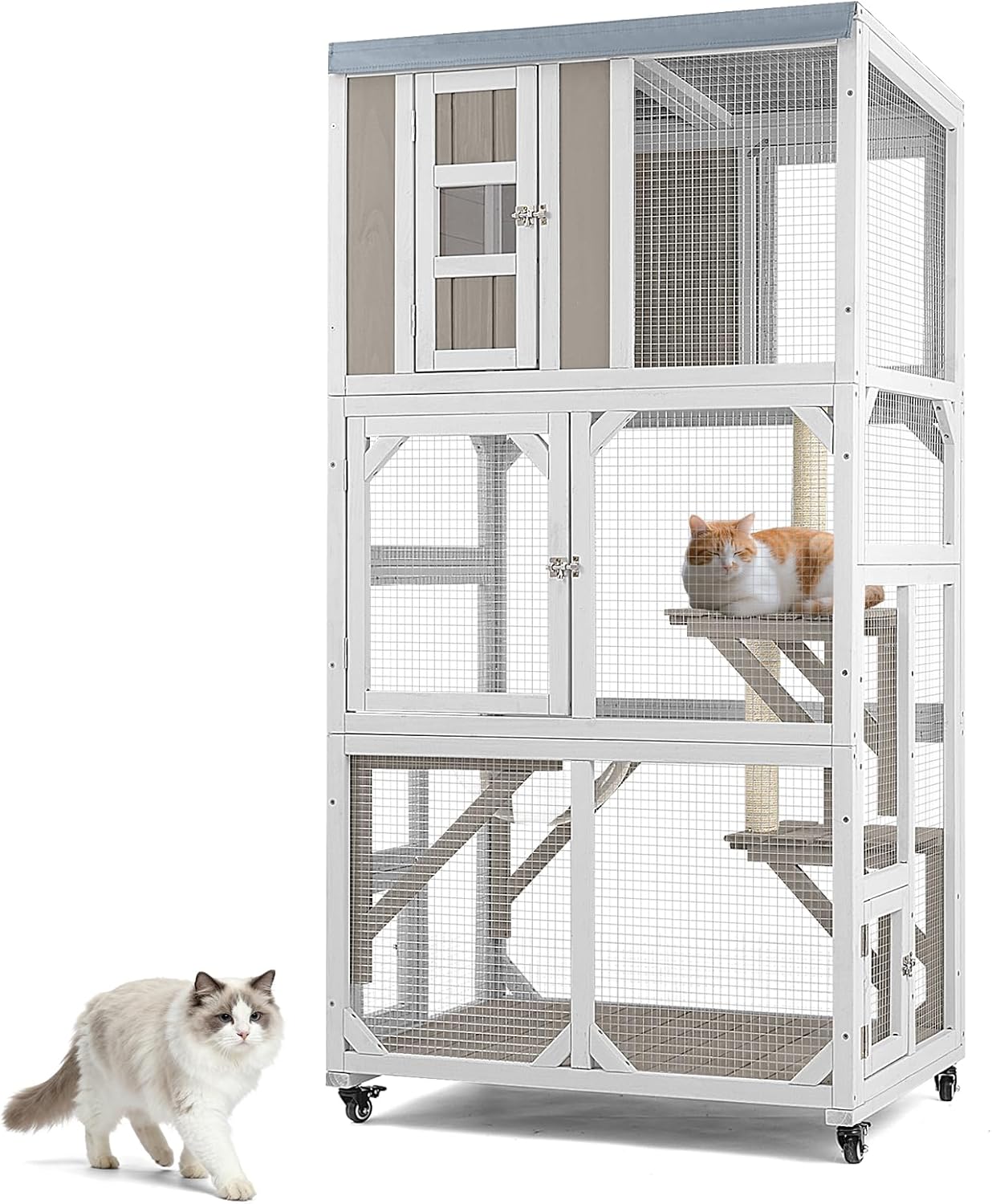 Catio Outdoor Cat Enclosure with Wheels & Weatherproof Roof, Large 63" Window Catio with 3 Platforms, Acrylic Dome, Portable Kitty House for Indoor Cats