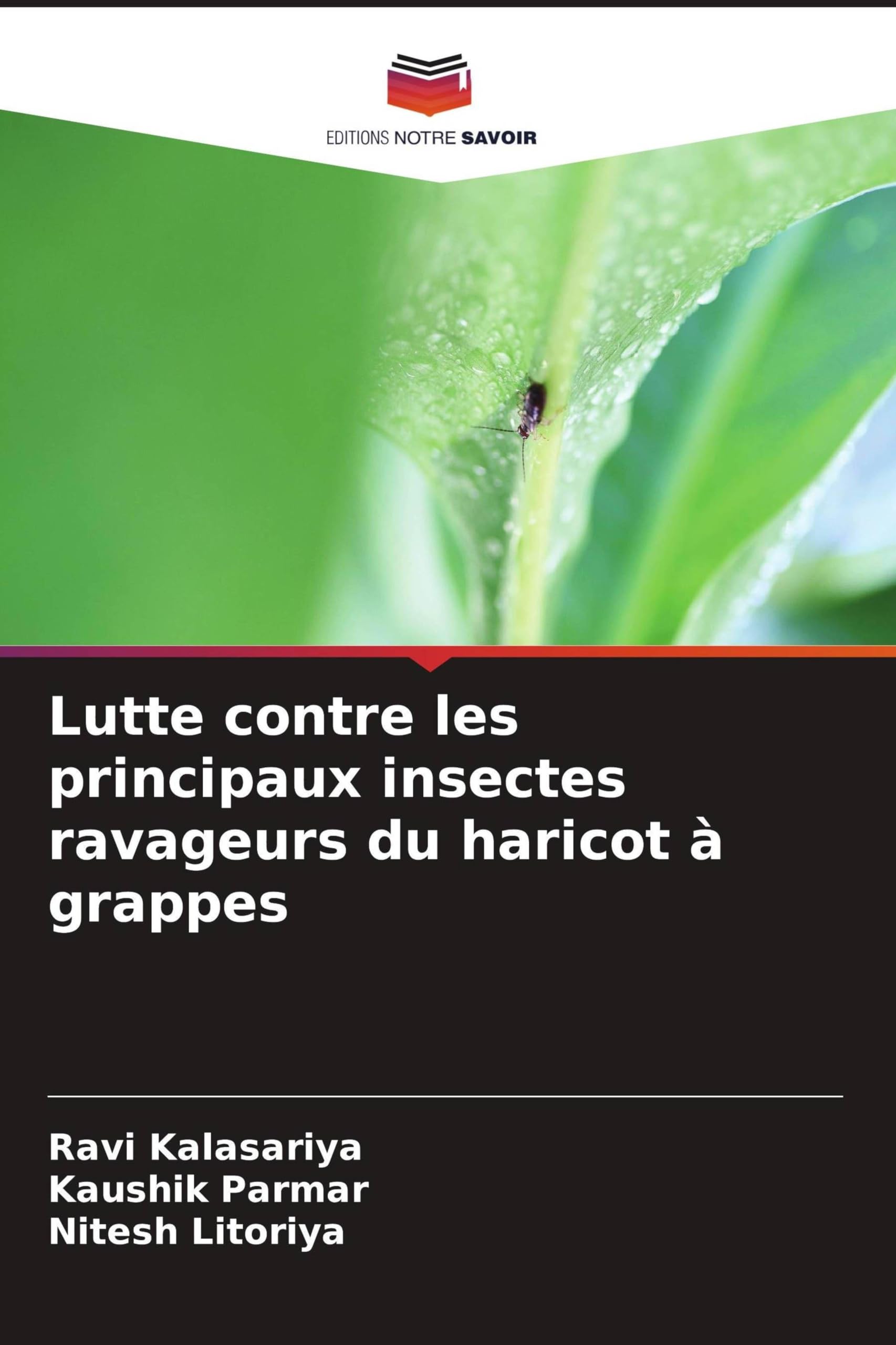 Lutte contre les principaux insectes ravageurs du haricot à grappes