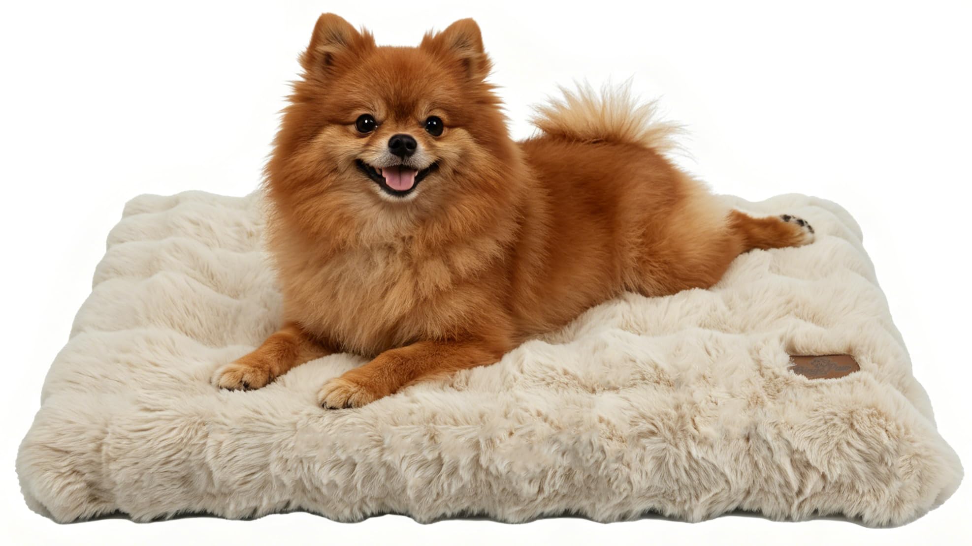BingoPaw Cama para Perros Medianos 76x51x10cm, Cama Perro Lavable Colchón para Perro Impermeable Funda Peluda Removible y Base Antideslizante para Perros Medianos, Beige