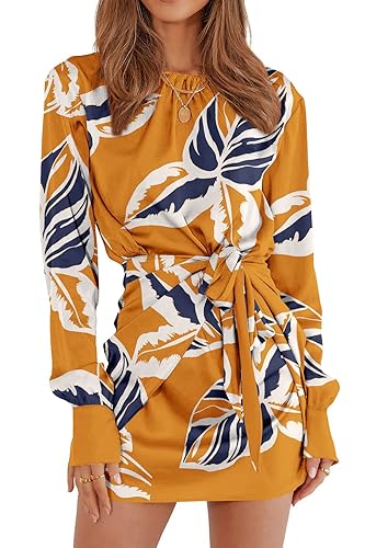 PRETTYGARDEN Women's 2023 Spring Satin Dress Long Sleeve Tie Waist Elegant Cocktail Party Mini Dresses