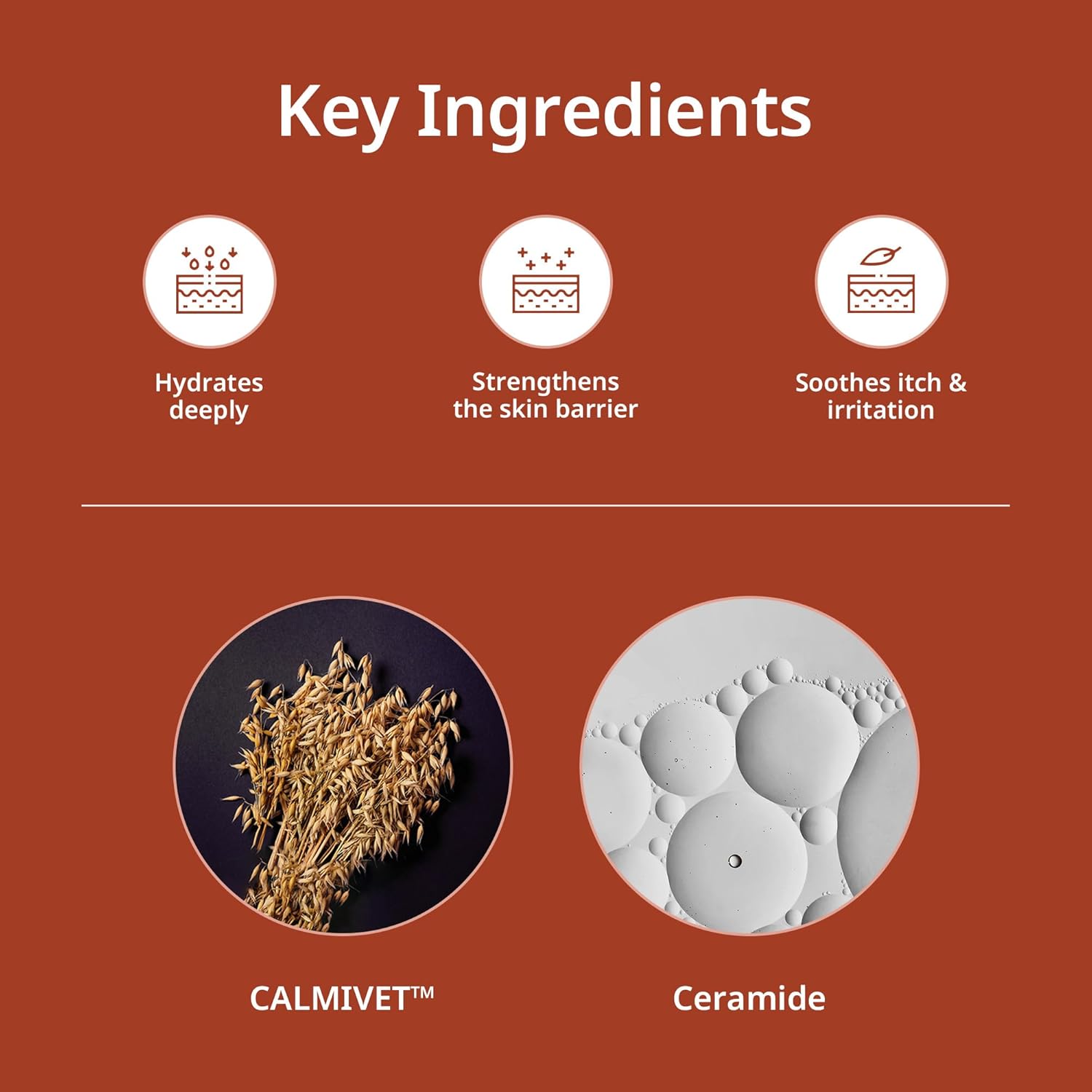 Puppy/Senior Low-Irritation Designed ODAC Derma Serene Signature pet Shampoo, Korean Pet Skincare, Gentle Formula with Dual Ceramides NS & EOP, Oat & Barley, for Dogs & Cats, 10.14 fl oz