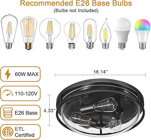 Miniatura 3 de Luminzone Lámpara de techo de montaje empotrado de 16 pulgadas con pantalla de vidrio transparente, 3 luces para interiores y exteriores, luces de