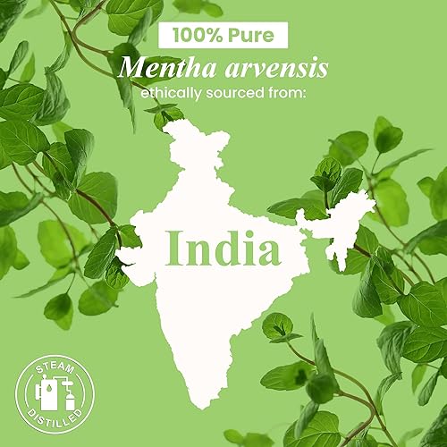 Miniatura 21 de Handcraft Blends Aceite esencial de eucalipto orgánico, 1 onza líquida, 100% puro y natural, aceite esencial de alta calidad para difusor