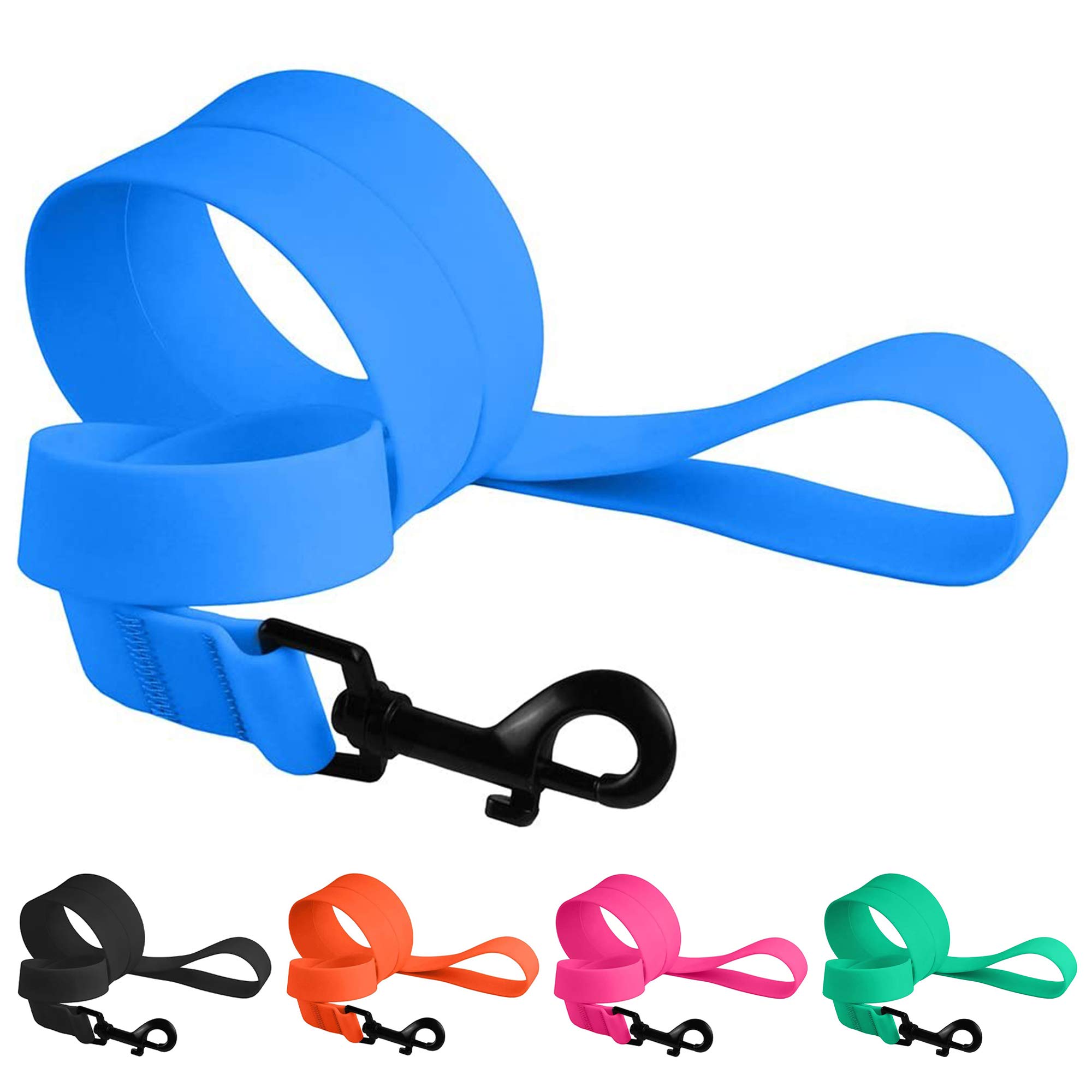CollarDirect Dog Leash