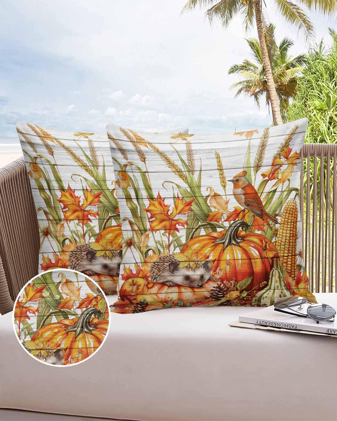 Waterproof Pillow Covers for Outdoor/Indoor,Fall Thanksgiving Orange Pumpkin Holiday Pillow Cases Soft Throw Pillows Pack of 2,Hedgehog Farm Wheat Ears Cushion Cover for Living room/Bedroom/Bed Home