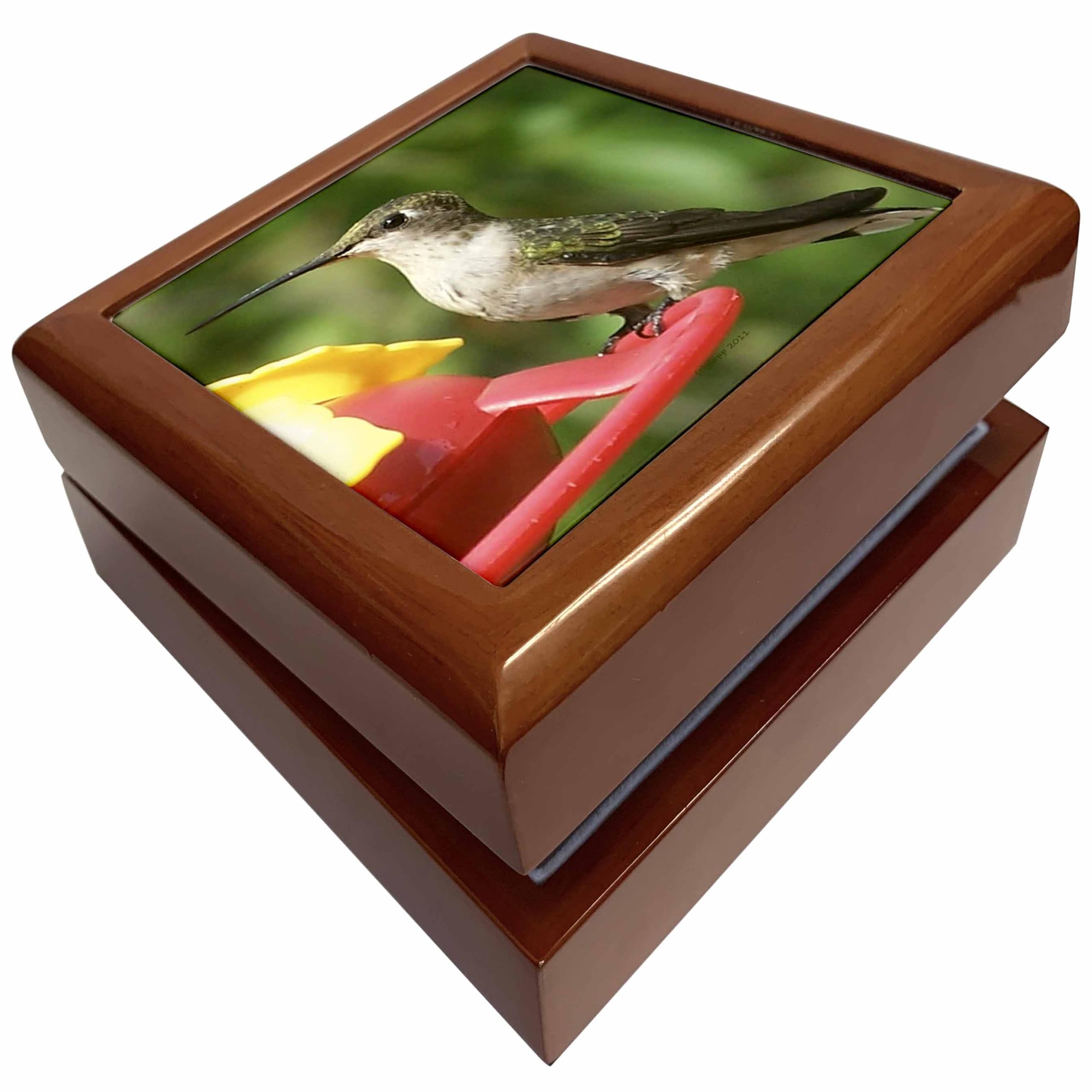 3dRose Female ruby throated humming bird, Jewelry Box jb-19157-1