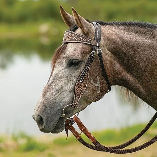 Miniatura 2 de Schneiders Doble S Reno - Caballo con banda para la cabeza  Elegante accesorio ecuestre  Hebilla de acero inoxidable duradera  Tamaño ajustable