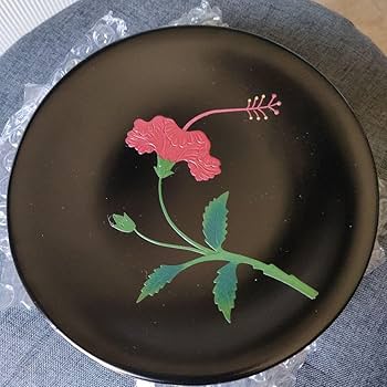 Amazon.co.jp: 沖縄 琉球 漆器 ハイビスカス柄 菓子皿五枚(長期保管品