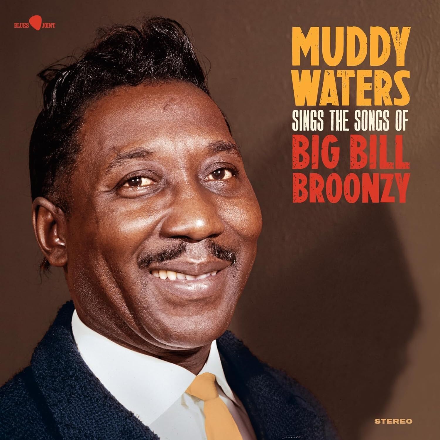 Sings Big Bill [VINYL]