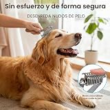 Ver la foto 3