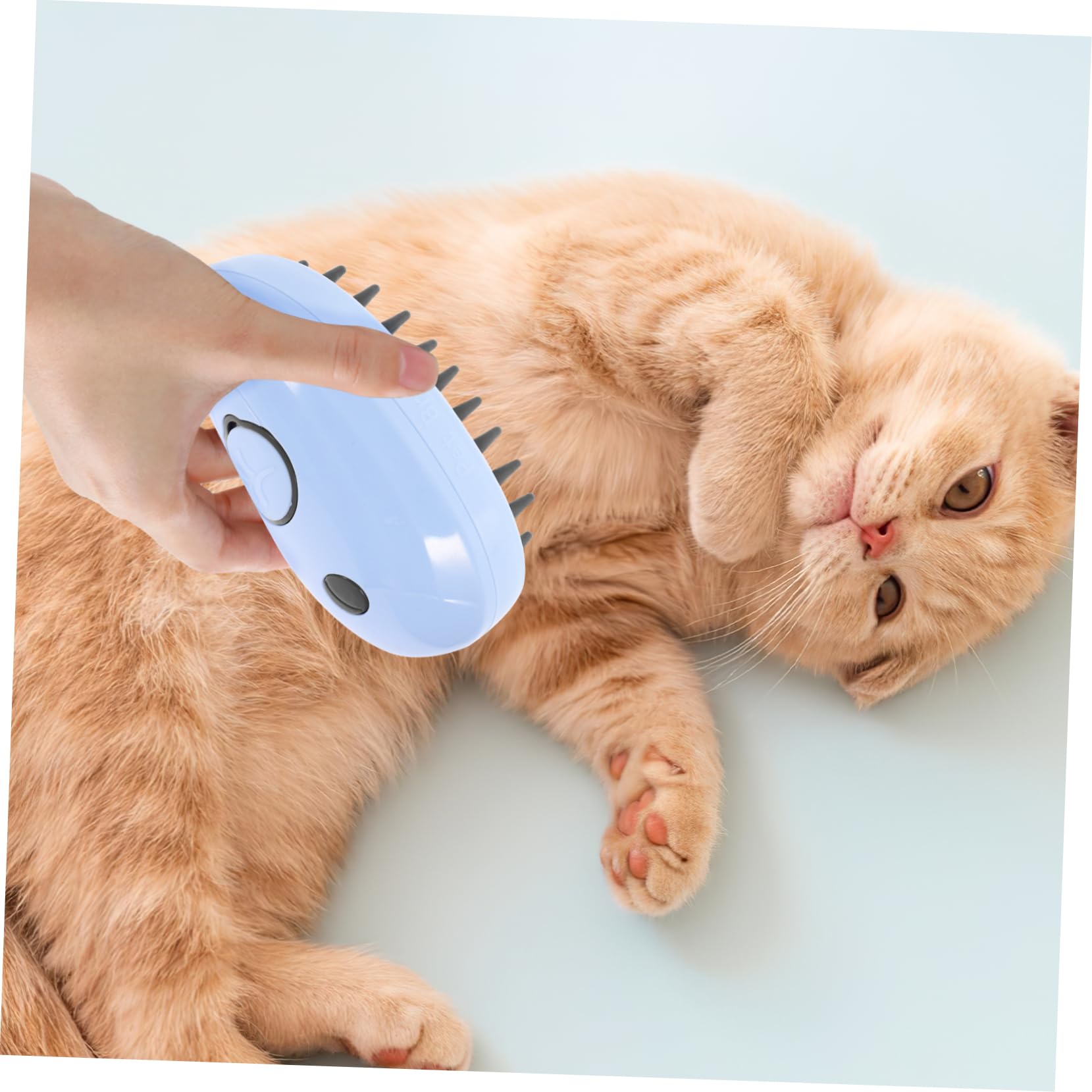 Sosoport 4stücke Selbstreinigende Dampfbürste Für Katzen Multifunktionale Massagebürste Zur Entfernung Von Verfilztem Fell Ergonomisches Design Für Einfache Handhabung Langlebiges