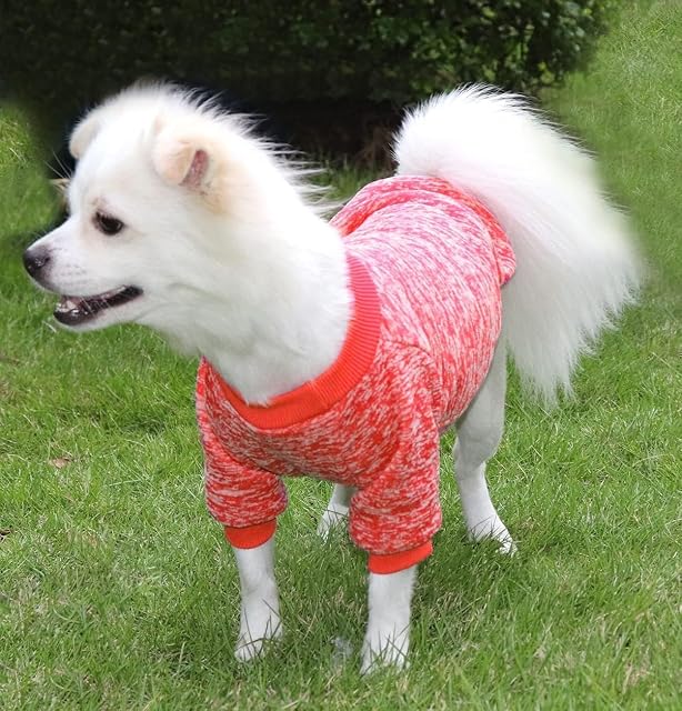 Foto 4 de 6 de HuaLiSiJi Jersey Perro Pequeño Sudaderas para Perros Jersey Chihuahua Jersey Gato