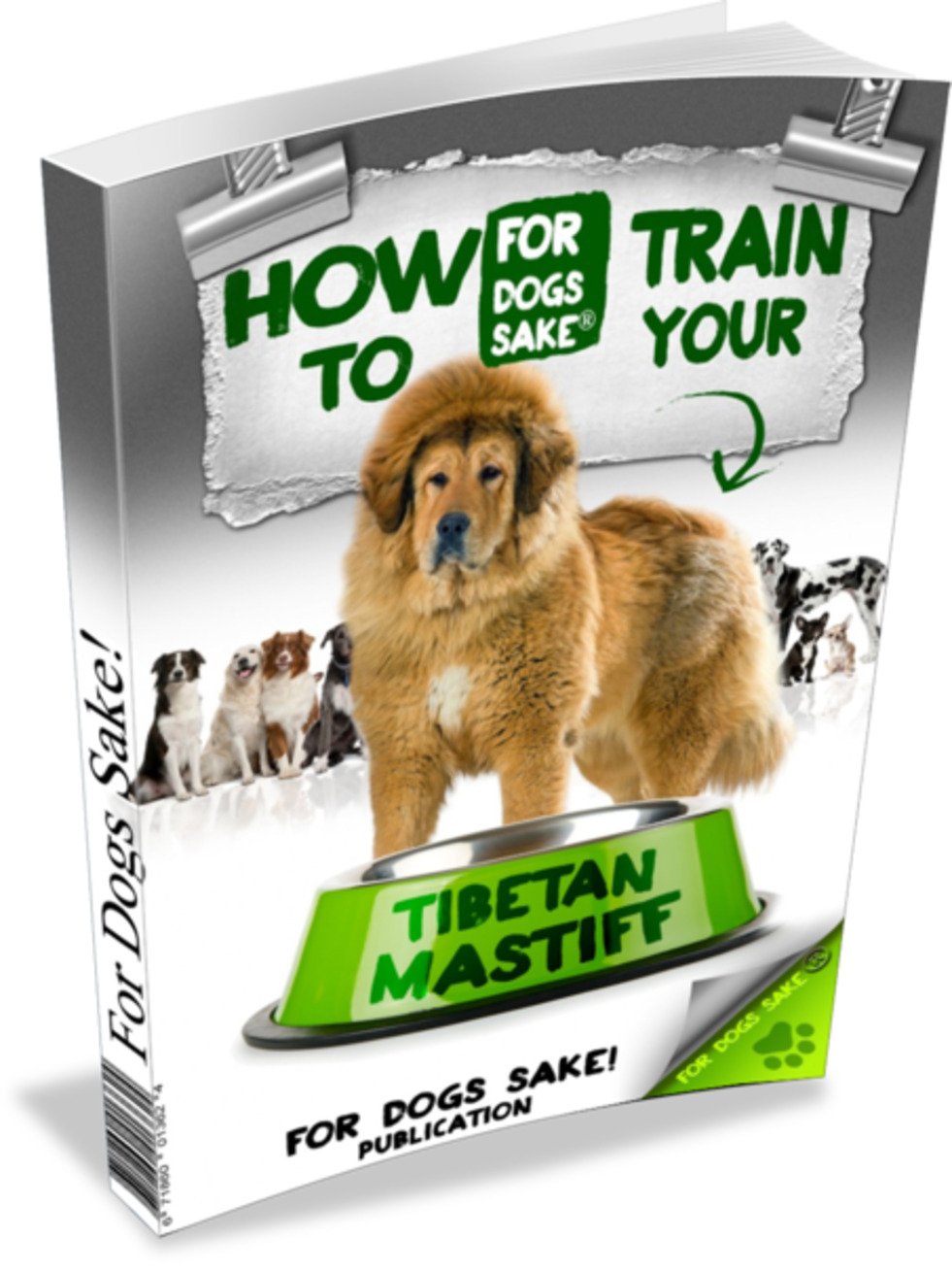 How To Train Your Tibetan Mastiff EBook Winslet K Amazon co uk Books how-to-train-your-tibetan-mastiff-ebook-winslet-k-amazon-co-uk-books