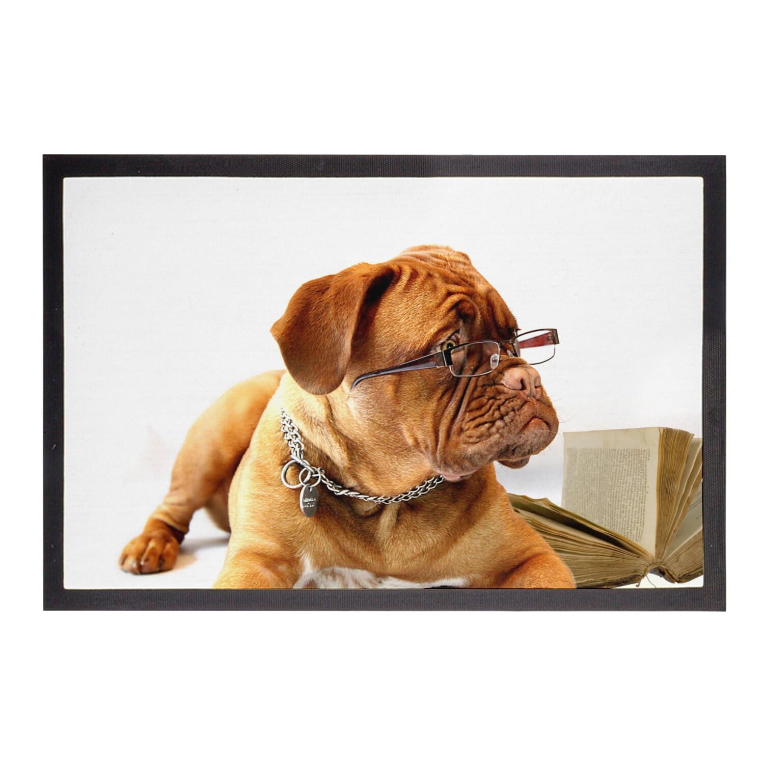 Paillasson Bulldog Francais Lunette Intellectuel Marron Tapis Entrée Petit Chien 75x50cm