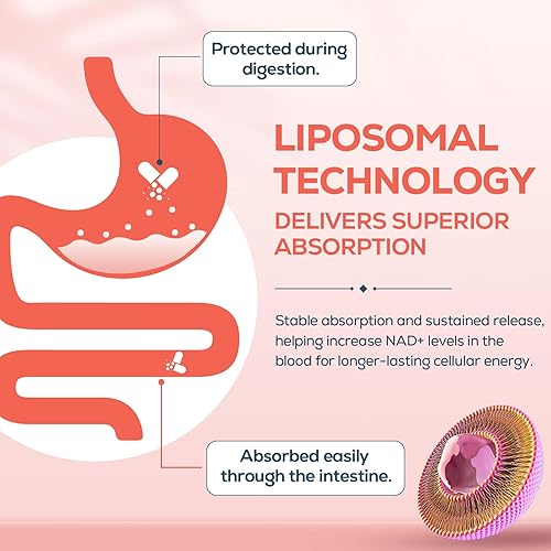 Miniatura 4 de Suplementos NAD de 2000 mg para mujeres, alternativa a la NMN, NAD+ liposomal femenino, con Ashwagandha, berberina HCL, ginkgo biloba y cohosh