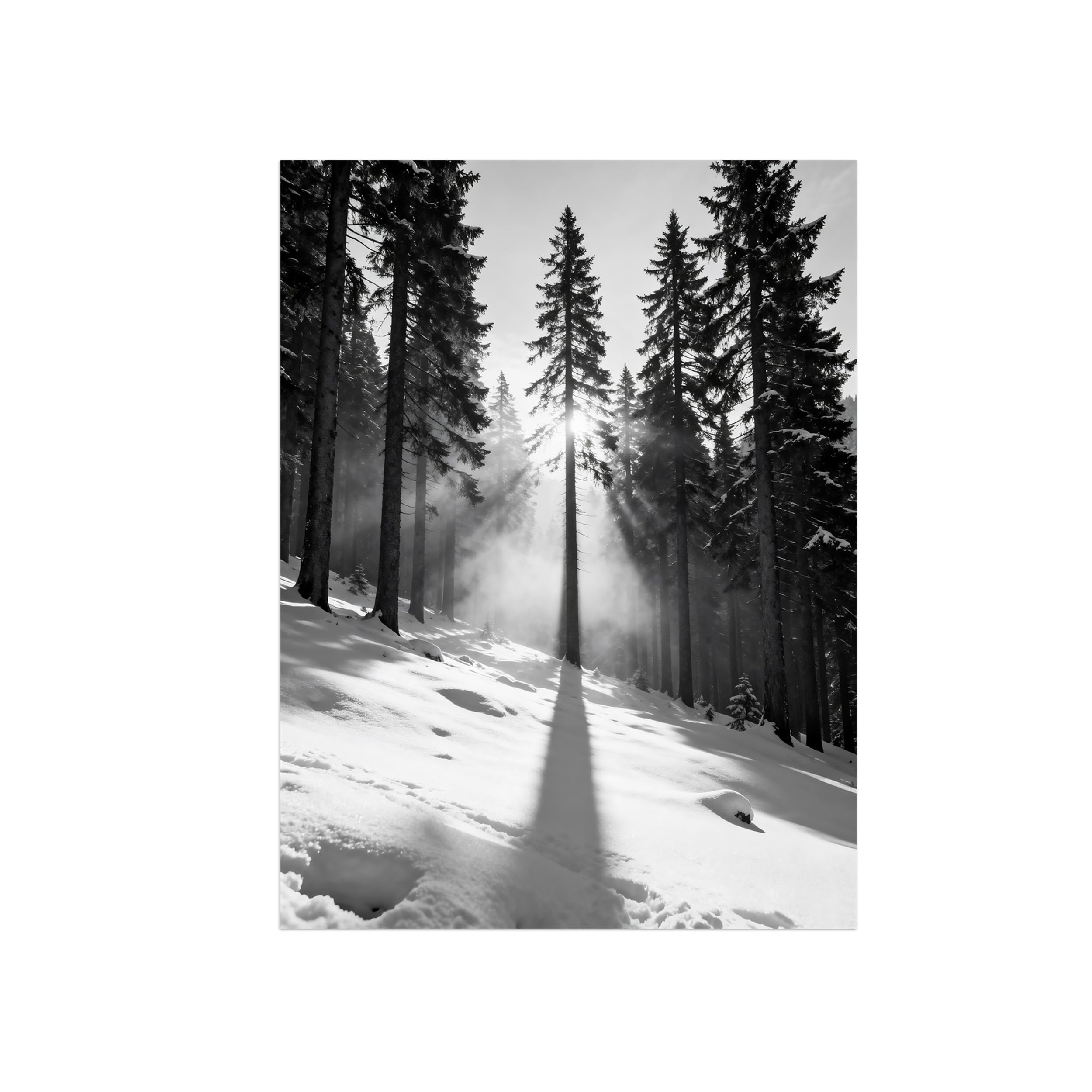 OZPWBVY Black White Landscape Wall Art. Winter Tree. Picture 60x80cm Framed