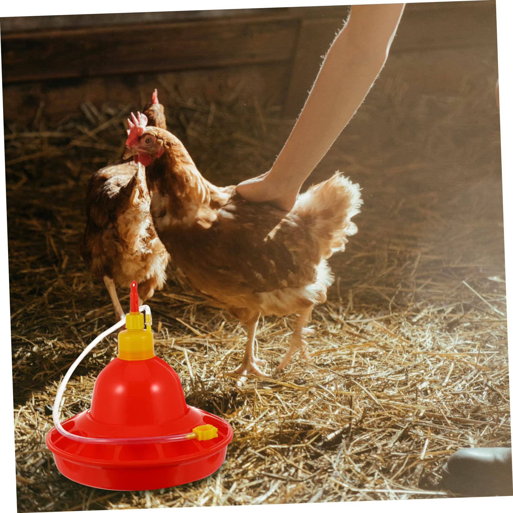 Comedero Automático para Pollitos De Granja Comedero para Agua Comedero para Pollitos
