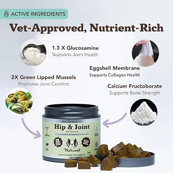 Natural Dog Company Vet Strength Hip & Joint Chews for Senior Dogs (90ct) Joint & Flexibility Support, Arthritis Relief for Senior Dogs, 1.3X Glucosamine, 2X Green Lipped Mussel & MSM for Dog Mobility