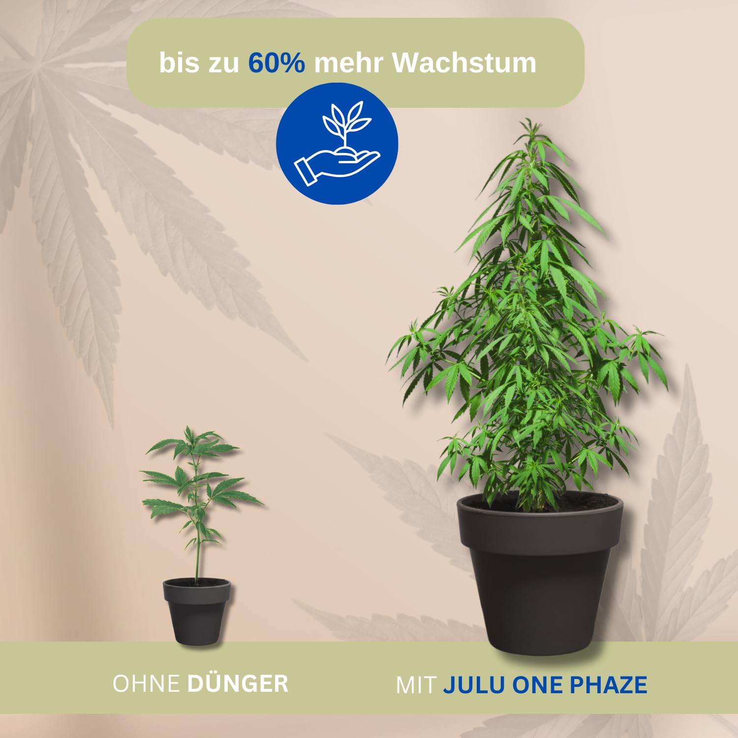 JULU One Phaze Hanf Dnger All-in-One, bis zu 6 Cannabispflanzen,  ertragreiche Blten & hoher THC-Gehalt, Marihuana Dnger fr Hanfpflanze -  250ml NPK Dnger Cannabis : Amazon.de: Garten