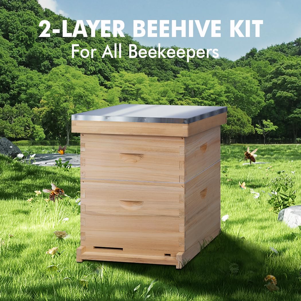 8 Frame Bee Hive, Compelte Bee Hive Starter Kit Includes 1 Deep Brood Honey Bee Hives Box, 1 Medium Super Bee Box with Beehive Frames and Foundation Sheets