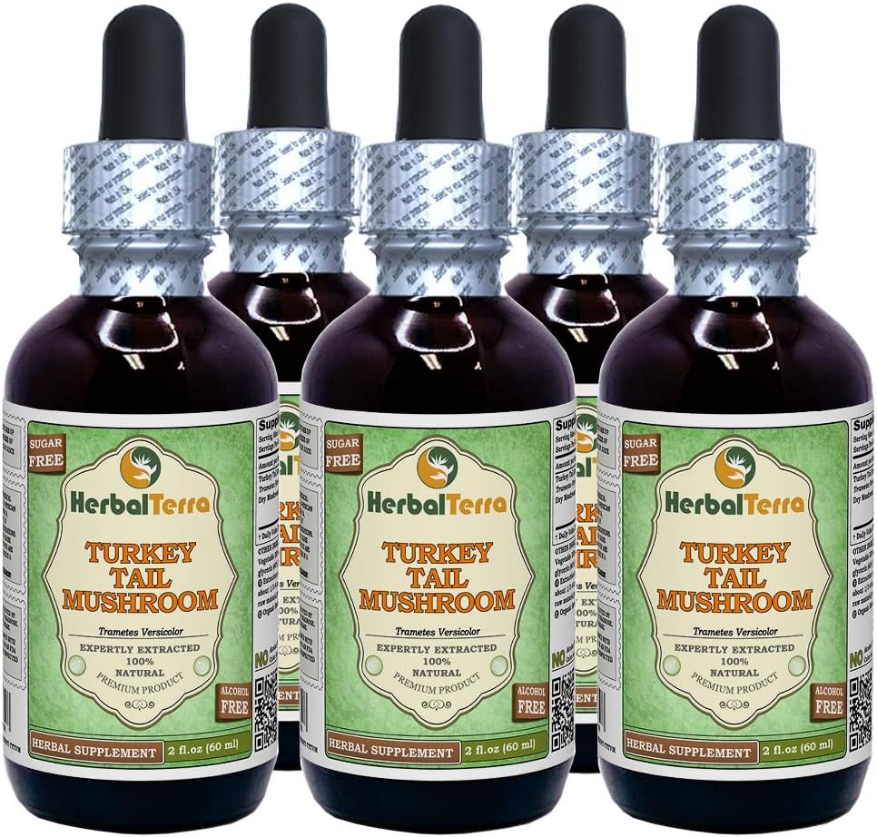 Turkey Tail Mushroom (Trametes Versicolor) Glycerite, Dried Mushroom Alcohol-Free Liquid Extract (Brand Name: HerbalTerra, Proudly Made in USA) 2x4 fl.oz (2x120 ml)