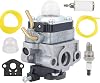 Carburetor Kit for Ryobi S430 4-Cycle WeedEater, Includes Fuel Line, Gasket
