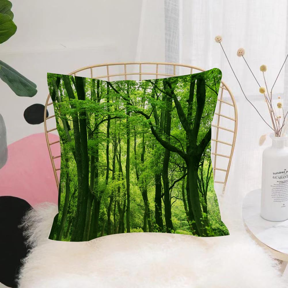 HYMSXW Cushion Cover,Throw Pillow Case Home Decorative for Living Room Bedroom Sofa Chair 20X20 Inch,fresh green rainforest，Spring Forest Scenery,Pillowcase 50X50cm