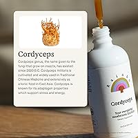 Vista 3 de Rainbo - Tintura de hongos Cordyceps - Suplemento de hongo de extracto dual - Apoyo inmunológico, energía, suplemento Cordyceps líquido, vegano, sin