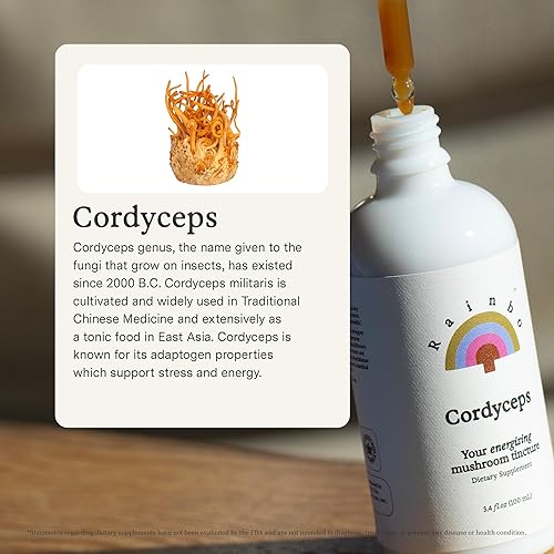 Miniatura 3 de Rainbo Cordyceps - Tintura de hongos, suplemento de hongo de doble extracto sin alcohol para apoyo inmunológico, energía, suplemento líquido